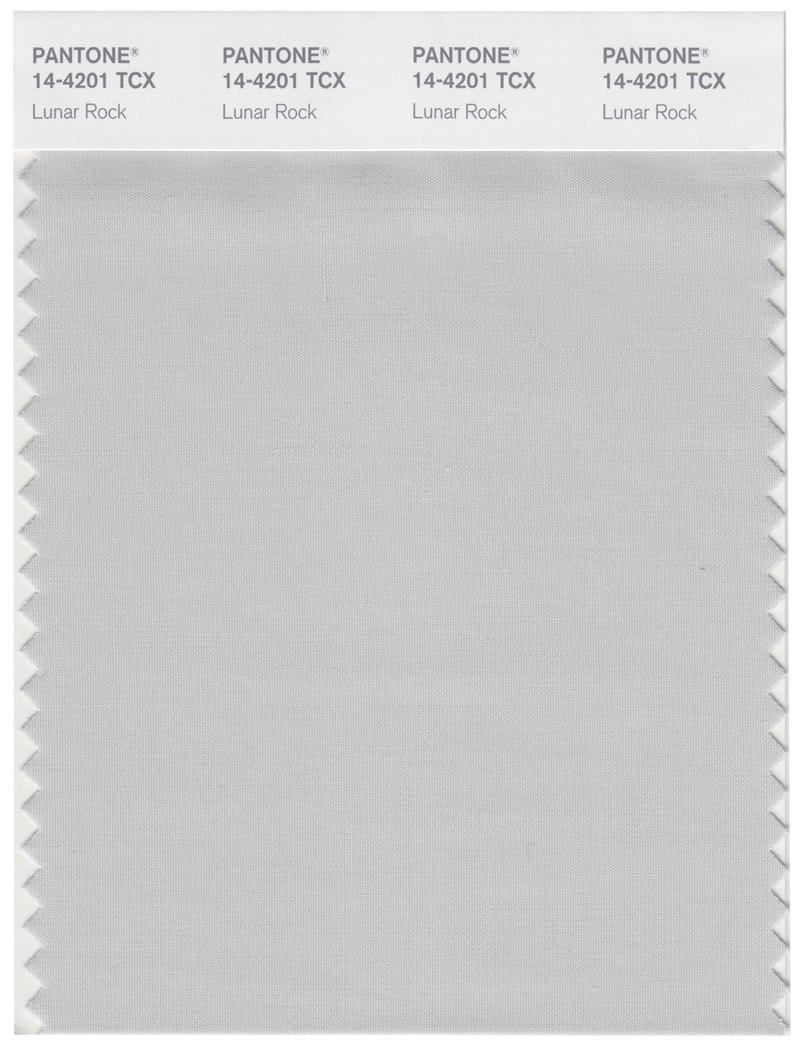 Pantone Smart 14-4201 TCX Color Swatch Card | Lunar Rock 