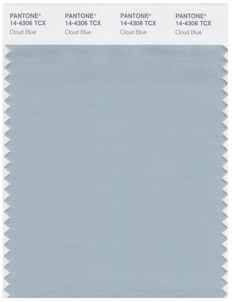 Pantone Smart 14-4306 TCX Color Swatch Card | Cloud Blue 