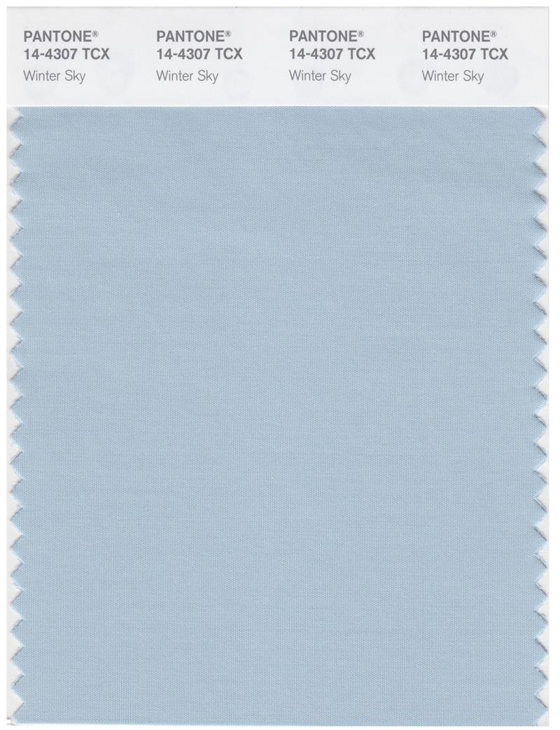 Pantone Smart 14-4307  TCX Color Swatch Card | Winter Sky 