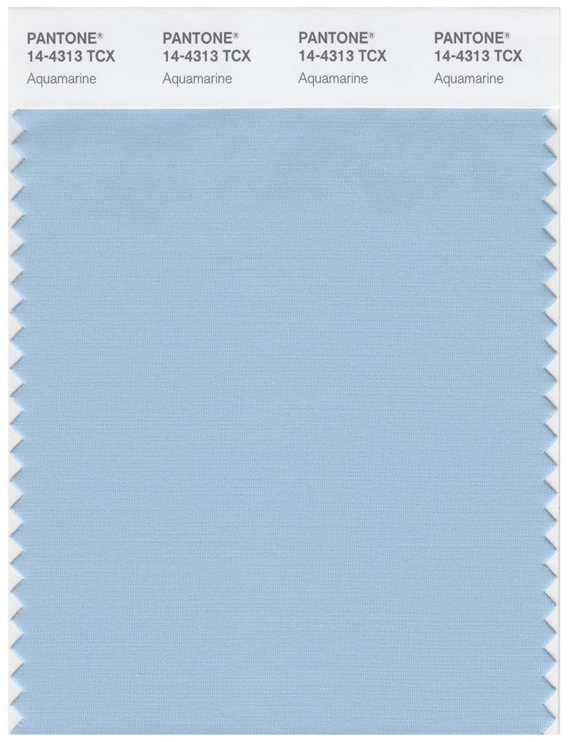 Pantone Smart 14-4313 TCX Color Swatch Card | Aquamarine 