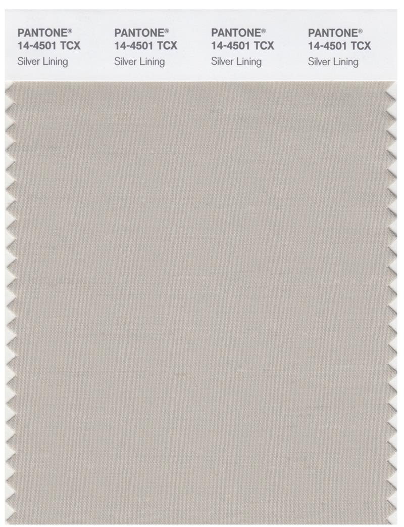 Pantone Smart 14-4501 TCX Color Swatch Card | Silver Lining 