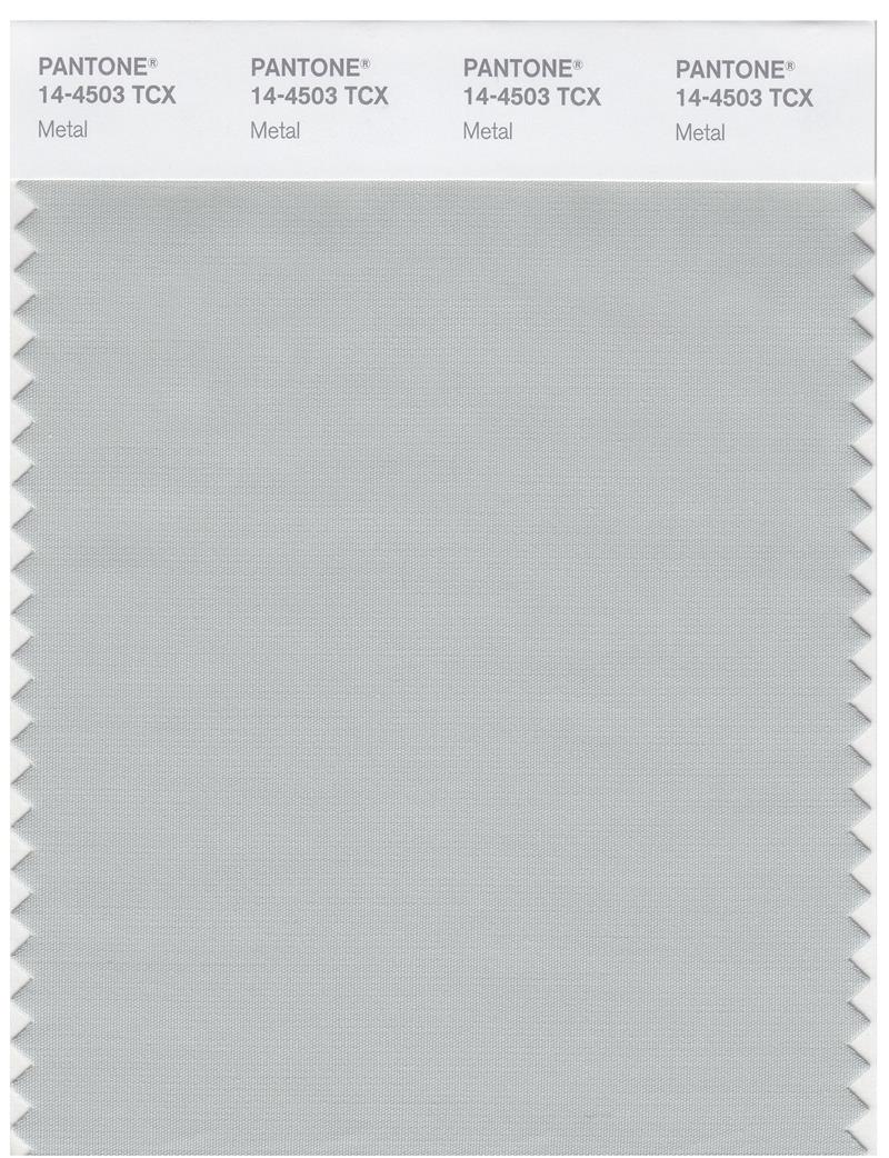 Pantone Smart 14-4503 TCX Color Swatch Card | Metal 