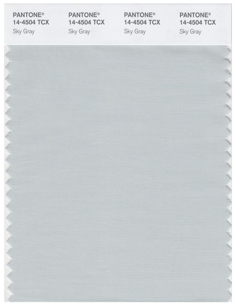 Pantone Smart 14-4504 TCX Color Swatch Card | Sky Gray 