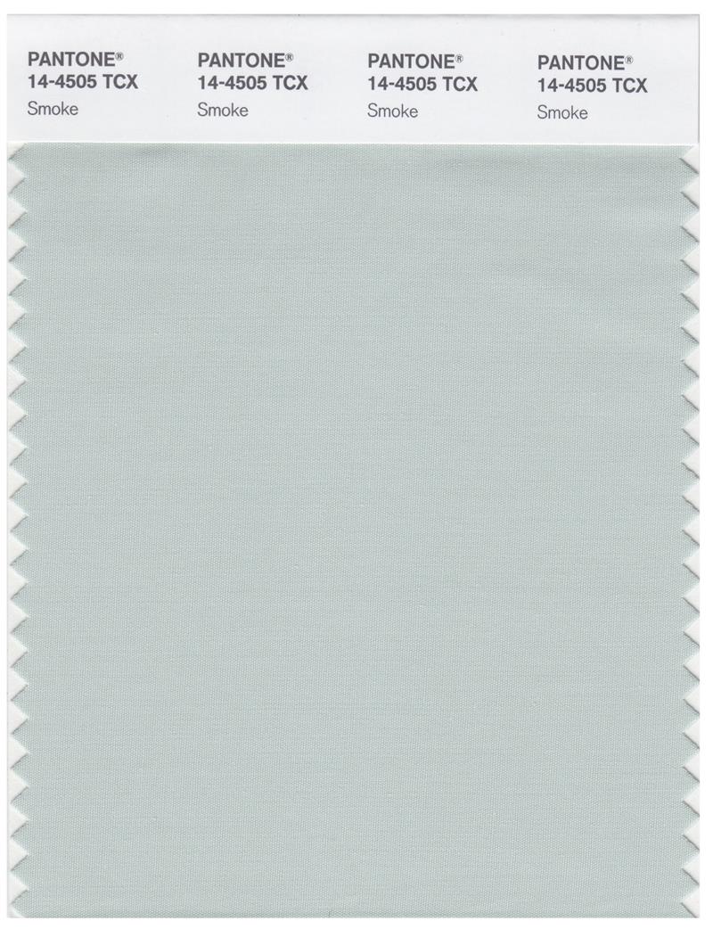 Pantone Smart 14-4505 TCX Color Swatch Card | Smoke 