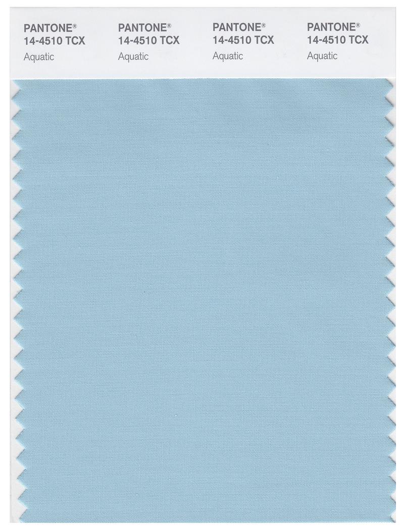 Pantone Smart 14-4510 TCX Color Swatch Card | Aquatic 