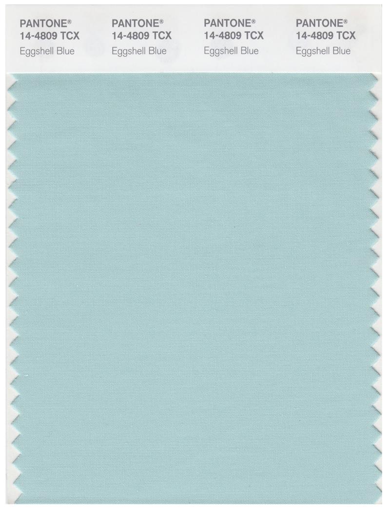 Pantone Smart 14-4809 TCX Color Swatch Card | Eggshell Blue 