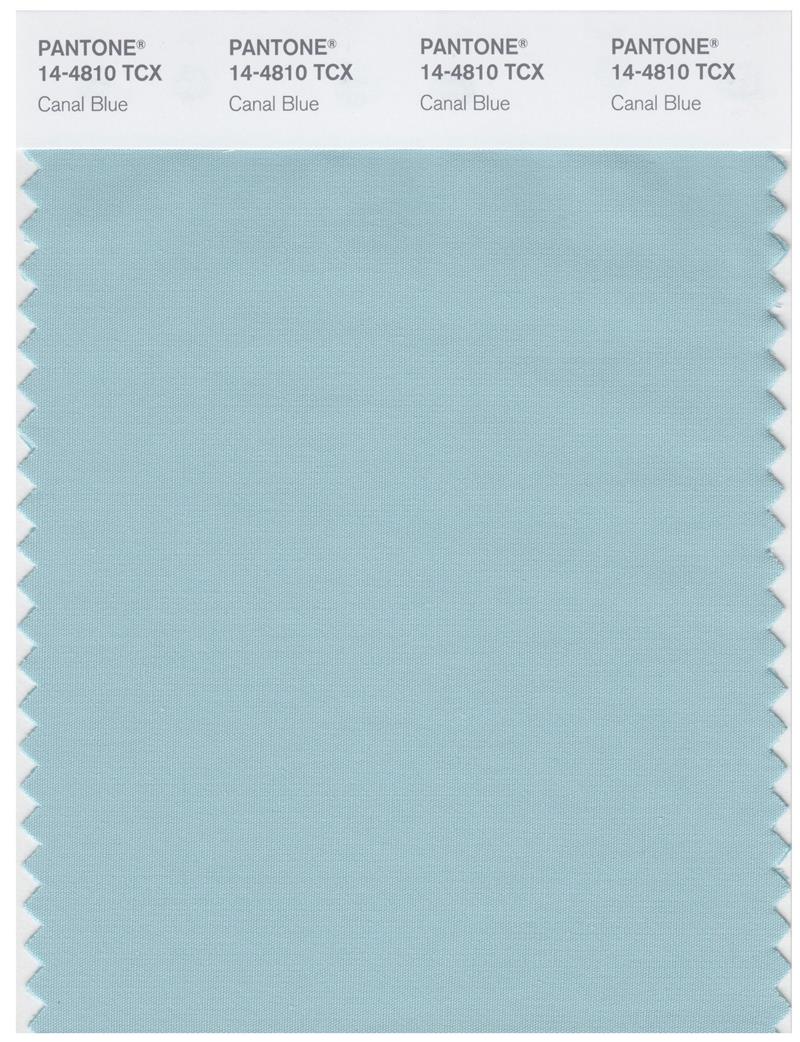 Pantone Smart 14-4810 TCX Color Swatch Card | Canal Blue 