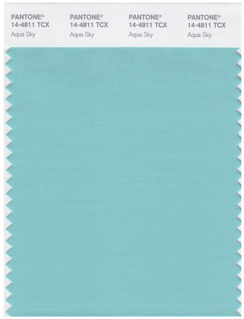 Pantone Smart 14-4811 TCX Color Swatch Card | Aqua Sky 