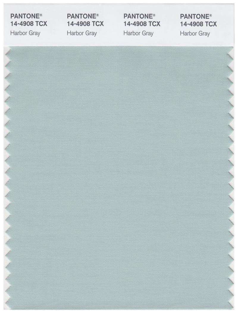 Pantone Smart 14-4908 TCX Color Swatch Card | Harbor Gray 