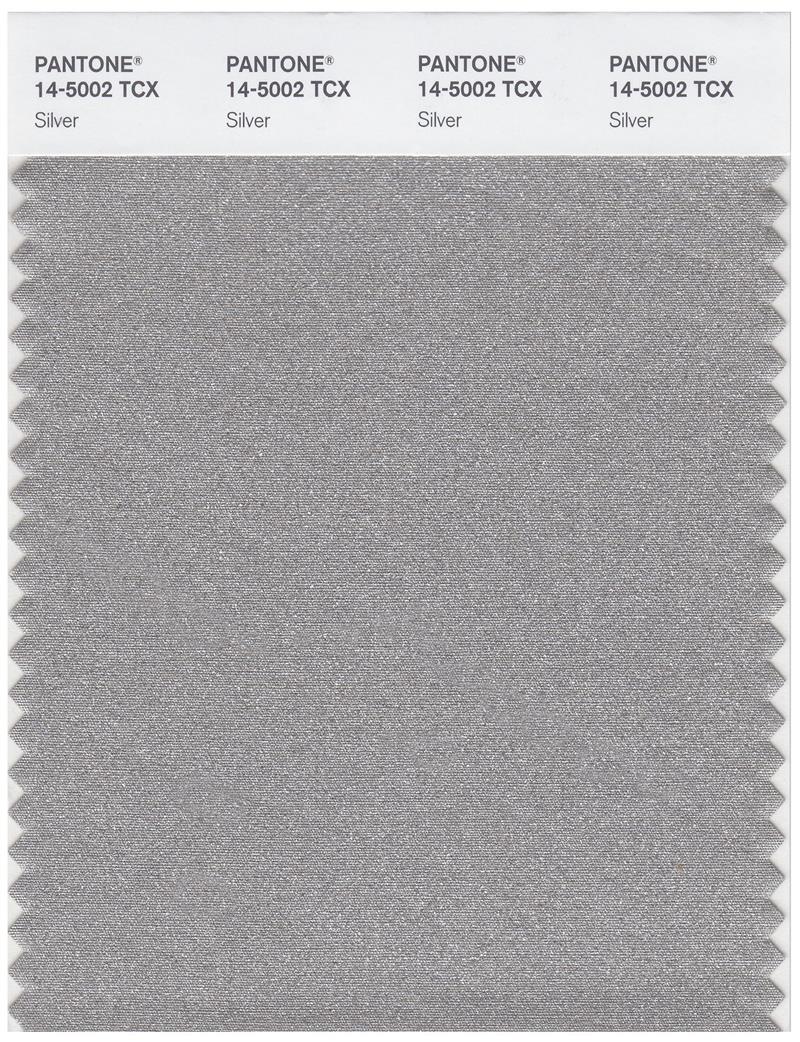 Pantone Smart 14-5002 TCX Color Swatch Card | Silver 