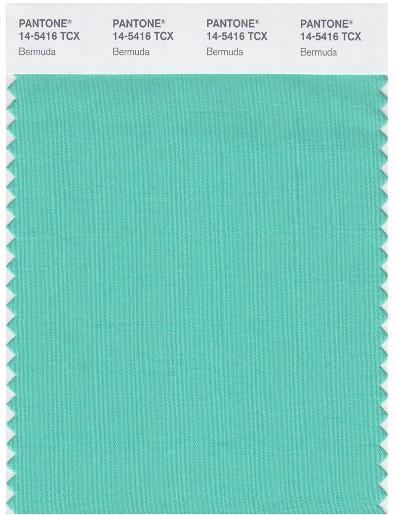 Pantone Smart 14-5416 TCX Color Swatch Card | Bermuda 