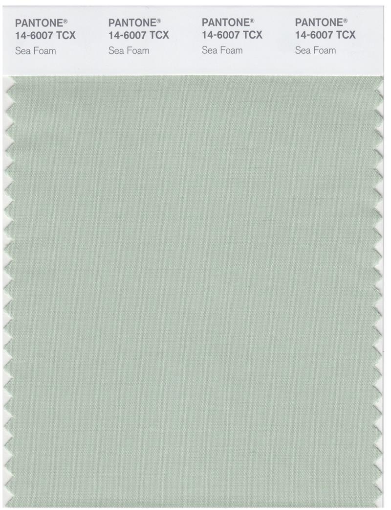 Pantone Smart 14-6007 TCX Color Swatch Card | Sea Foam 