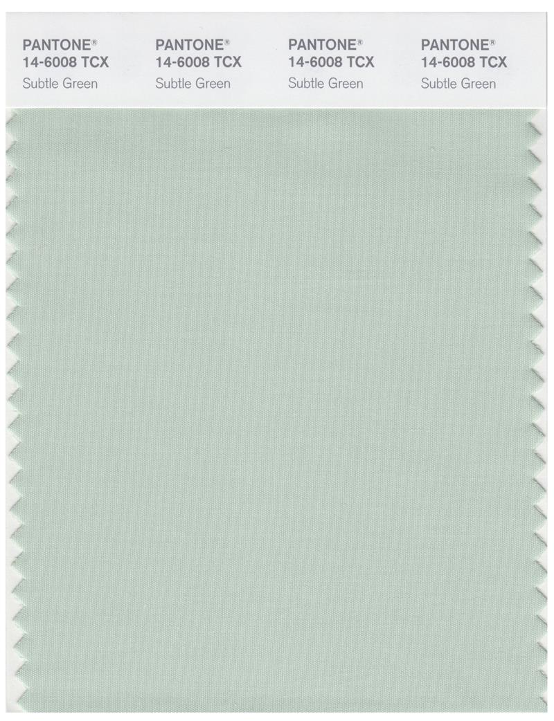 Pantone Smart 14-6008 TCX Color Swatch Card | Subtle Green 