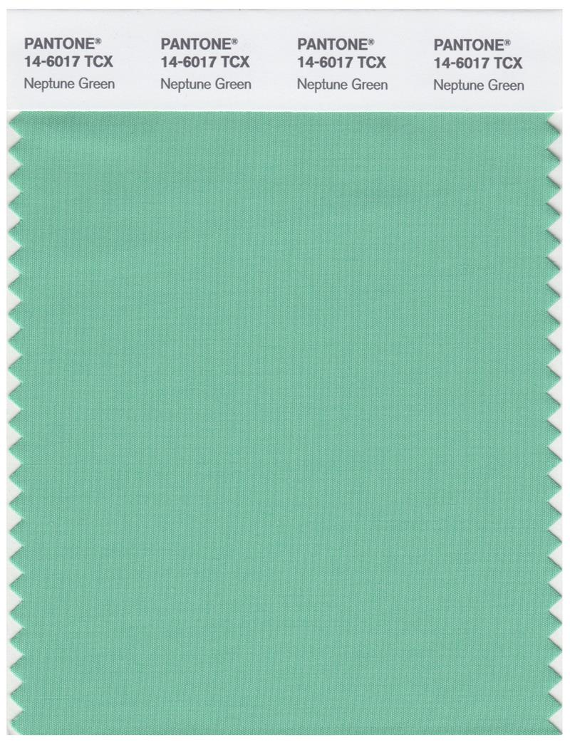 Pantone Smart 14-6017 TCX Color Swatch Card | Neptune Green 