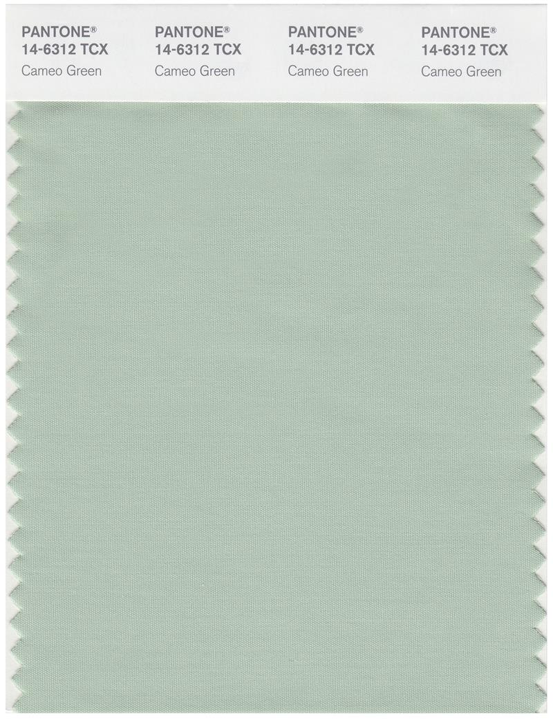 Pantone Smart 14-6312 TCX Color Swatch Card | Cameo Green 