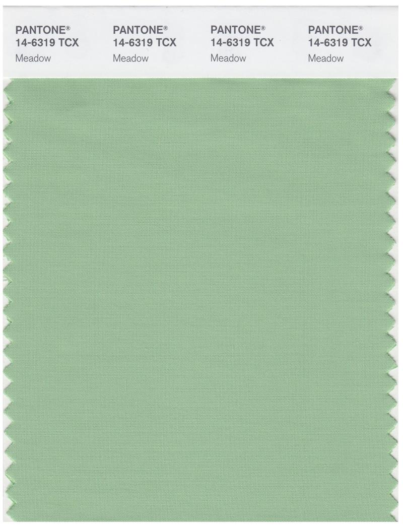 Pantone Smart 14-6319 TCX Color Swatch Card | Meadow 