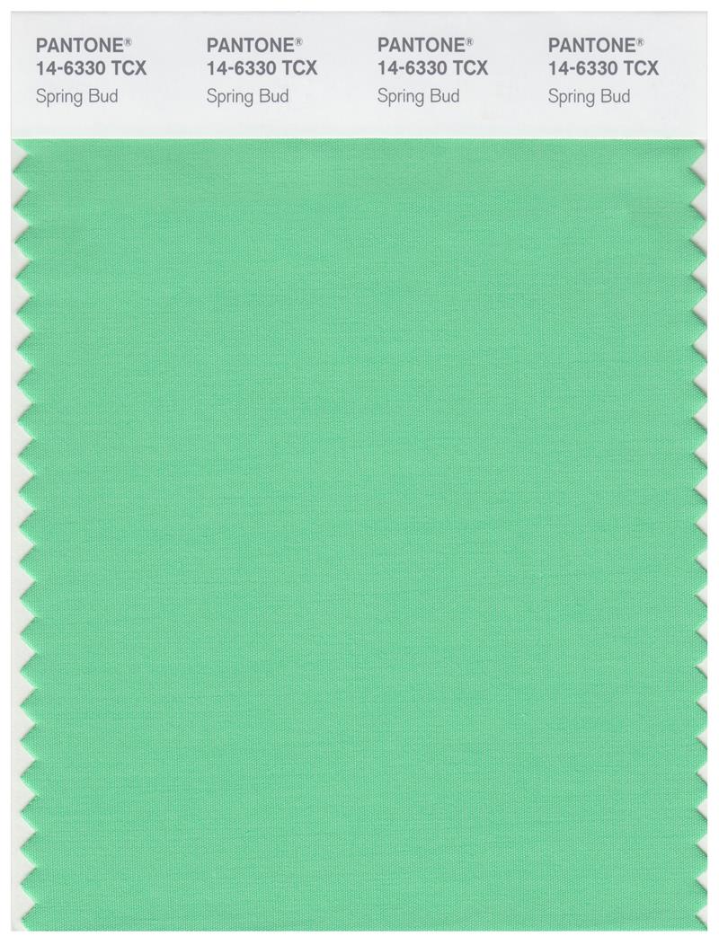 Pantone Smart 14-6330 TCX Color Swatch Card | Spring Bud 