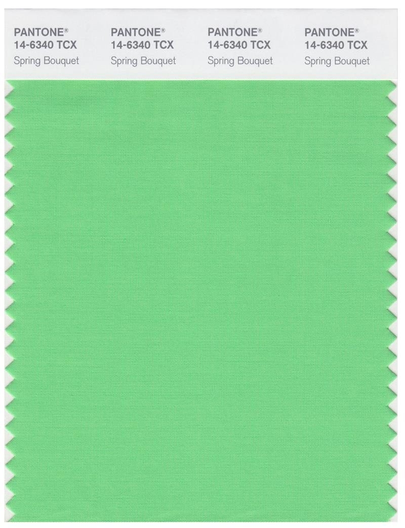 Pantone Smart 14-6340 TCX Color Swatch Card | Spring Bouquet 