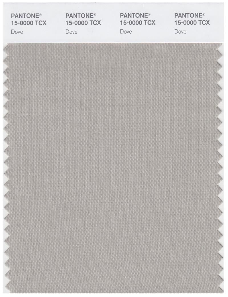 Pantone Smart 15-0000 TCX Color Swatch Card | Dove 