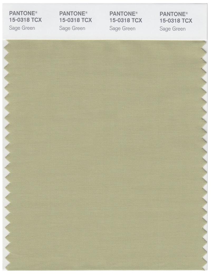 Pantone Smart 15-0318 TCX Color Swatch Card | Sage Green 