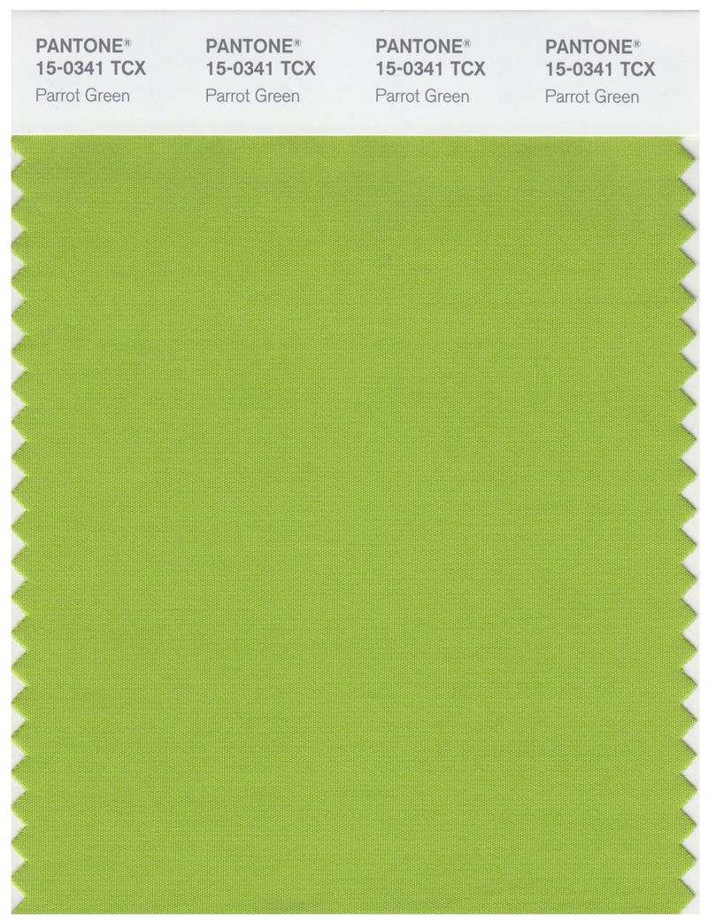 Pantone Smart 15-0341 TCX Color Swatch Card | Parrot Green 