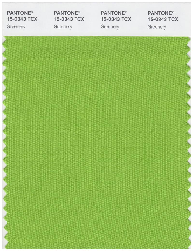 Pantone Smart 15-0343 TCX Color Swatch Card | Greenery 