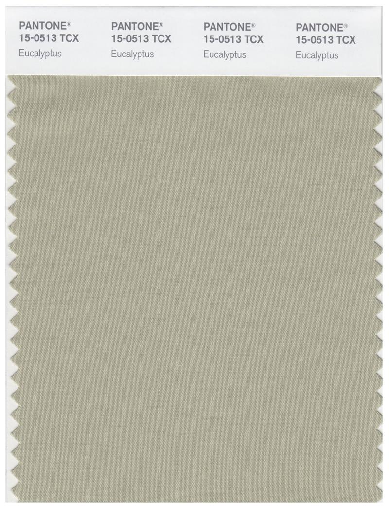 Pantone Smart 15-0513 TCX Color Swatch Card | Eucalyptus 