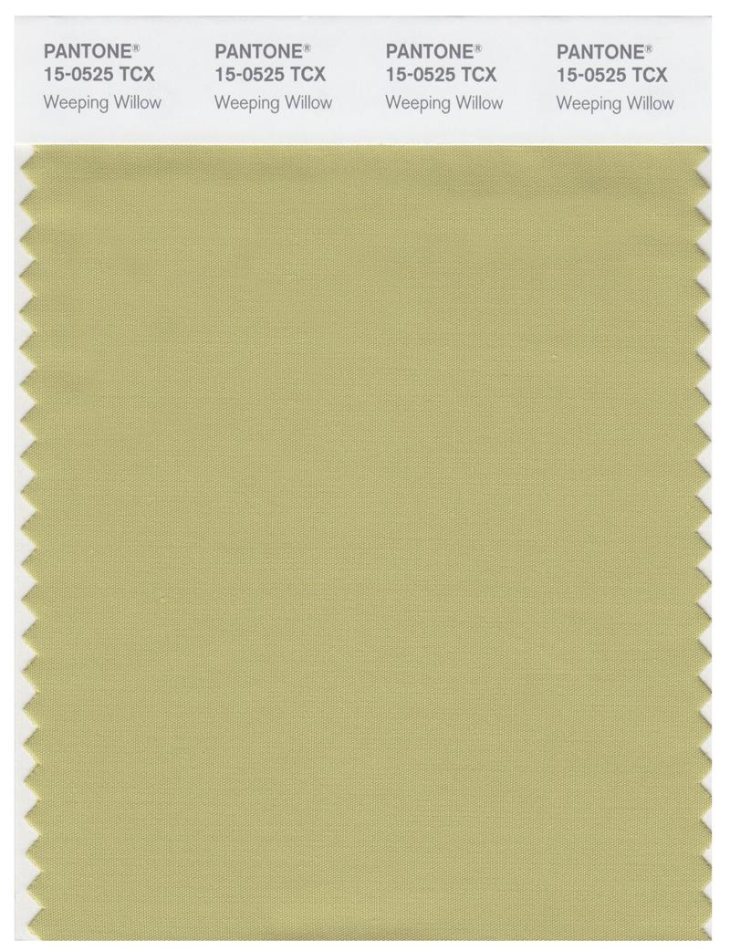 Pantone Smart 15-0525 TCX Color Swatch Card | Weeping Willow 