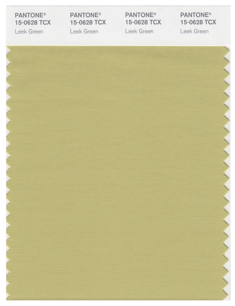 Pantone Smart 15-0628 TCX Color Swatch Card | Leek Green 