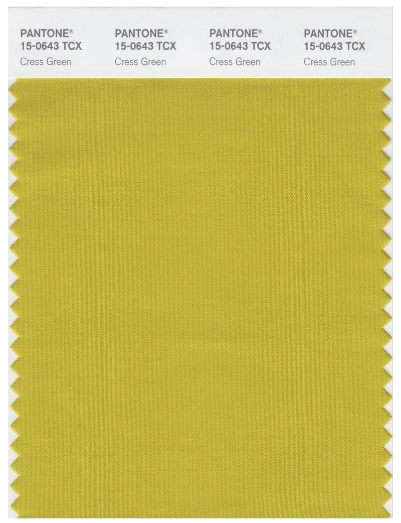 Pantone Smart 15-0643 TCX Color Swatch Card | Cress Green 