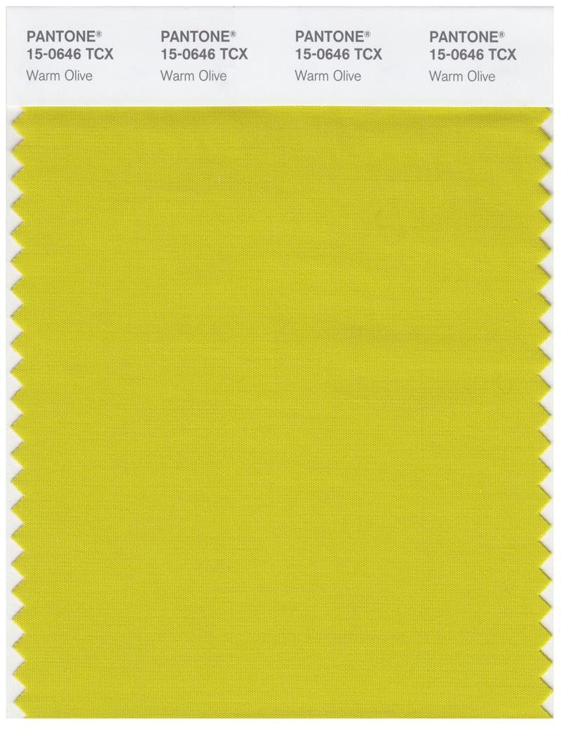 Pantone Smart 15-0646 TCX Color Swatch Card | Warm Olive 