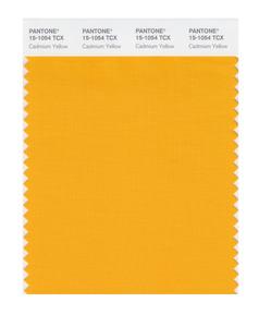 Pantone Smart 15-1504 TCX Color Swatch Card | Cadmium Yellow 