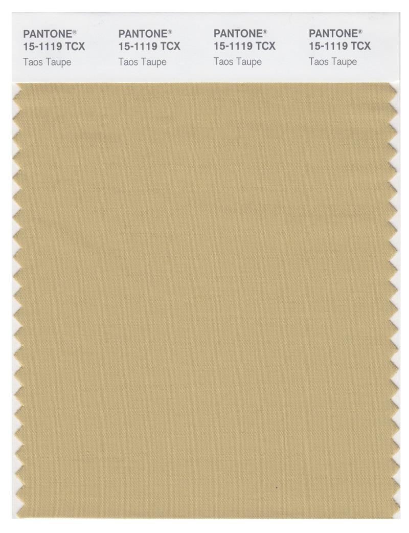 Pantone Smart 15-1119 TCX Color Swatch Card | Taos Taupe 