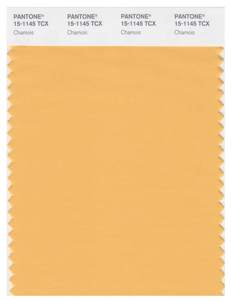 Pantone Smart 15-1145 TCX Color Swatch Card | Chamois 