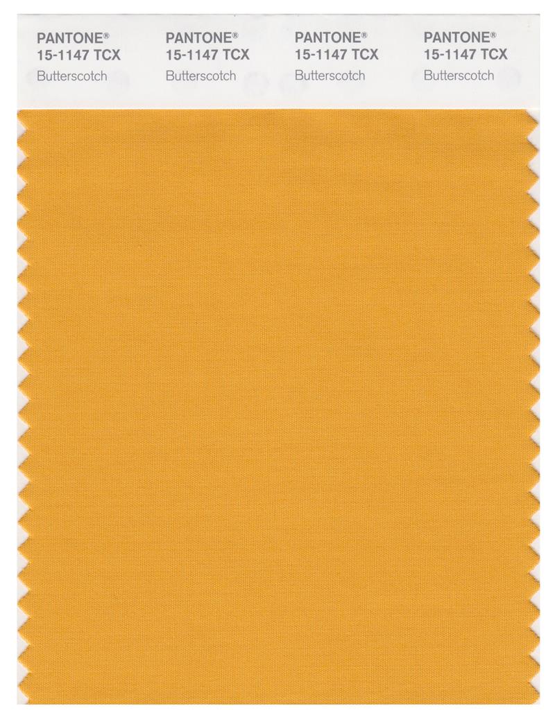 Pantone Smart 15-1147 TCX Color Swatch Card | Butterscotch 