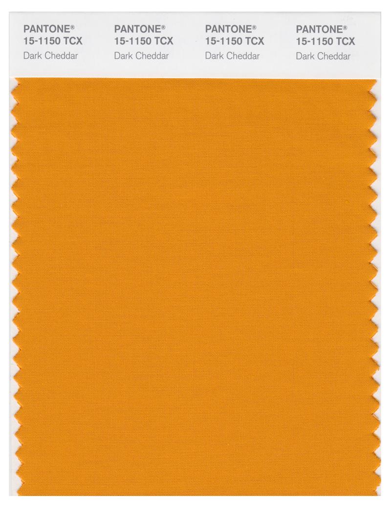 Pantone Smart 15-1150 TCX Color Swatch Card | Dark Cheddar 