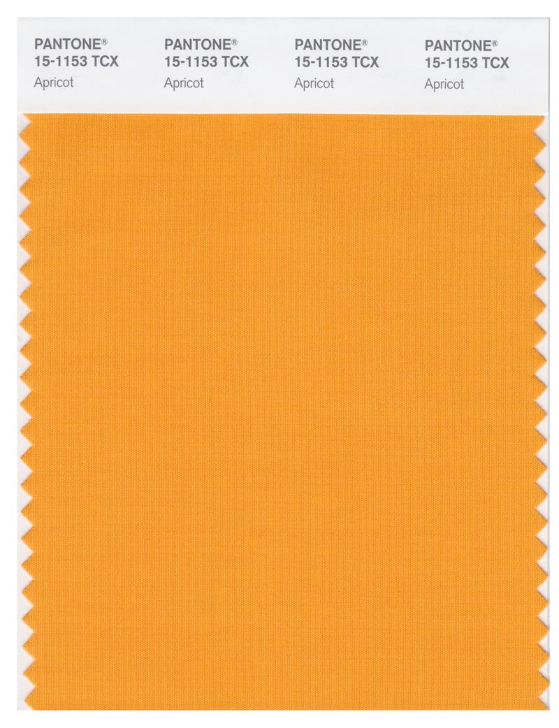 Pantone Smart 15-1153 TCX Color Swatch Card | Apricot 