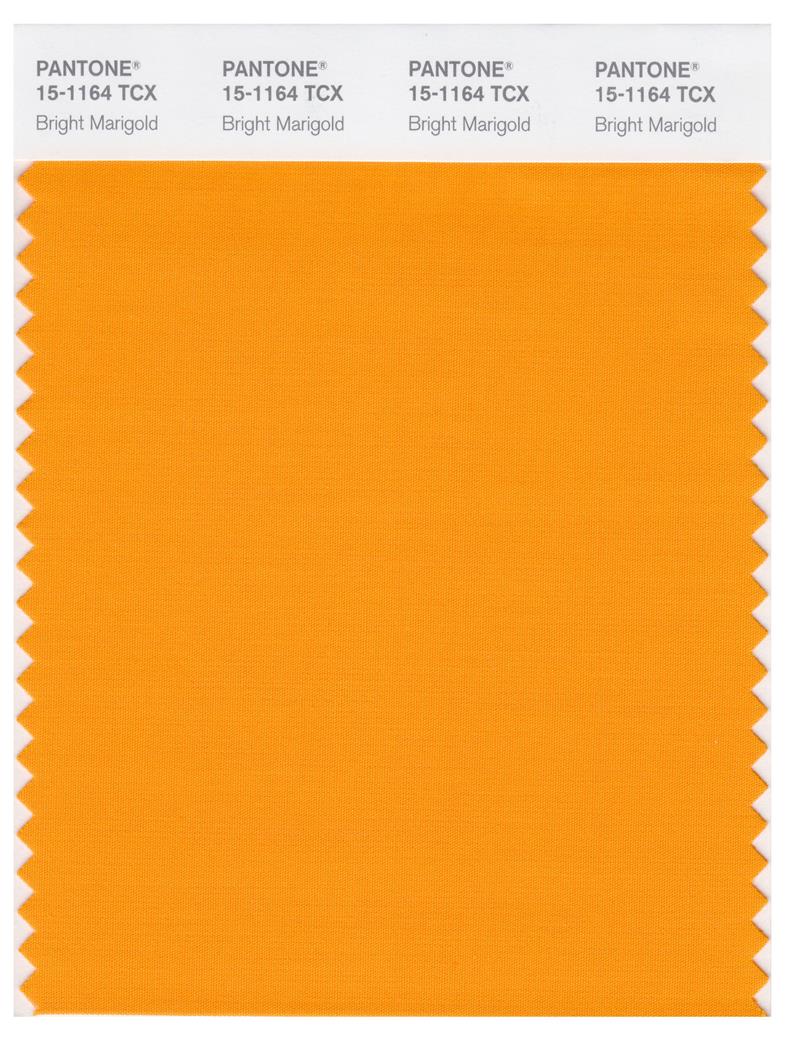 Pantone Smart 15-1164 TCX Color Swatch Card | Bright Marigold 