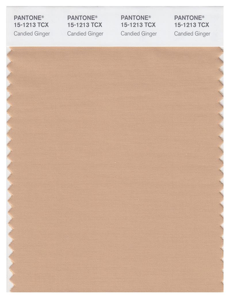 Pantone Smart 15-1213 TCX Color Swatch Card | Candied Ginger 