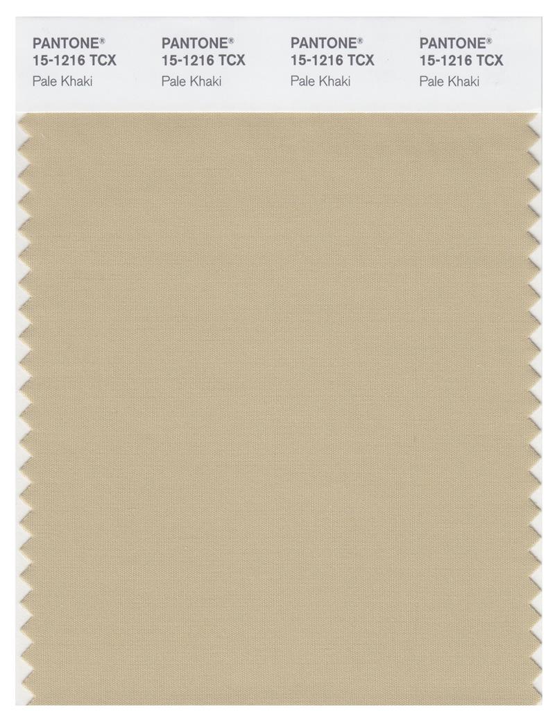 Pantone Smart 15-1216 TCX Color Swatch Card | Pale Khaki 