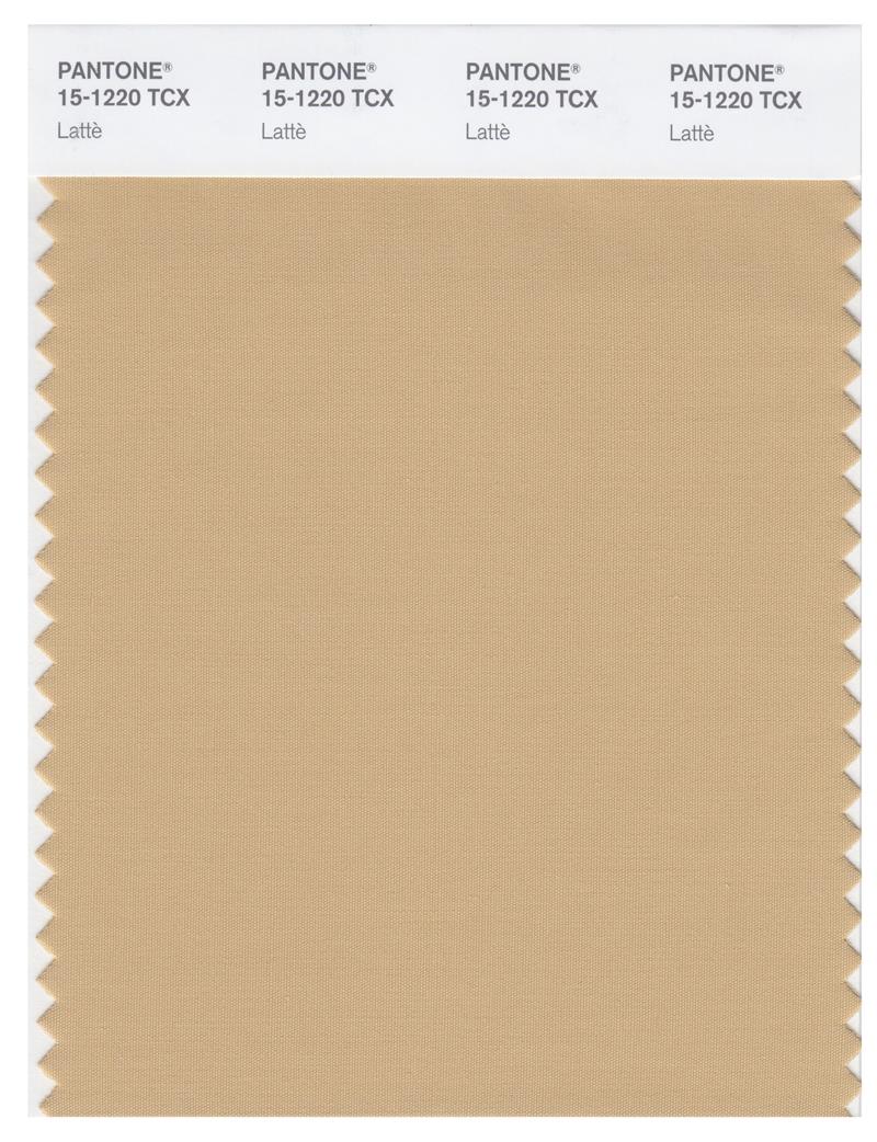 Pantone Smart 15-1220 TCX Color Swatch Card | Latte 