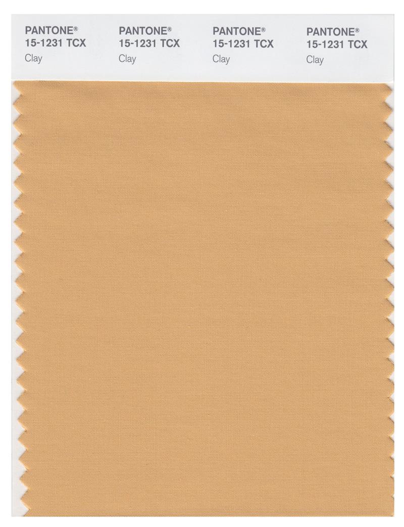 Pantone Smart 15-1231 TCX Color Swatch Card | Clay 