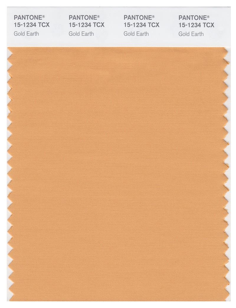 Pantone Smart 15-1234 TCX Color Swatch Card | Golden Earth 