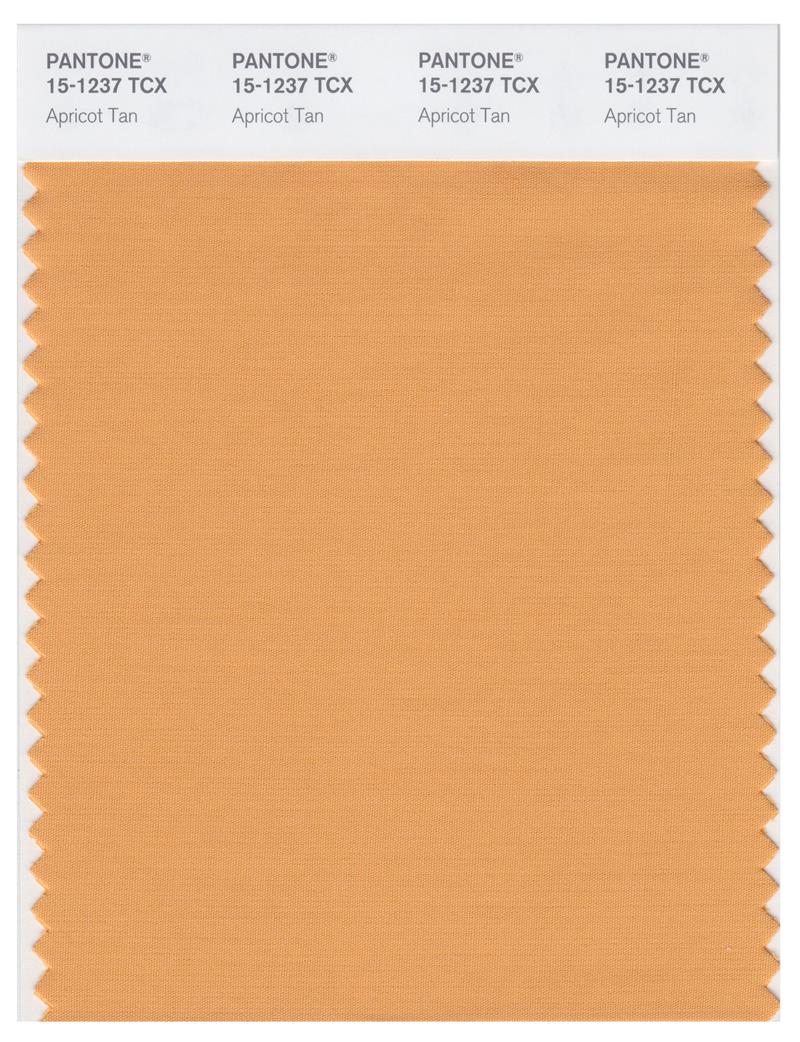 Pantone Smart 15-1237 TCX Color Swatch Card | Apricot Tan 