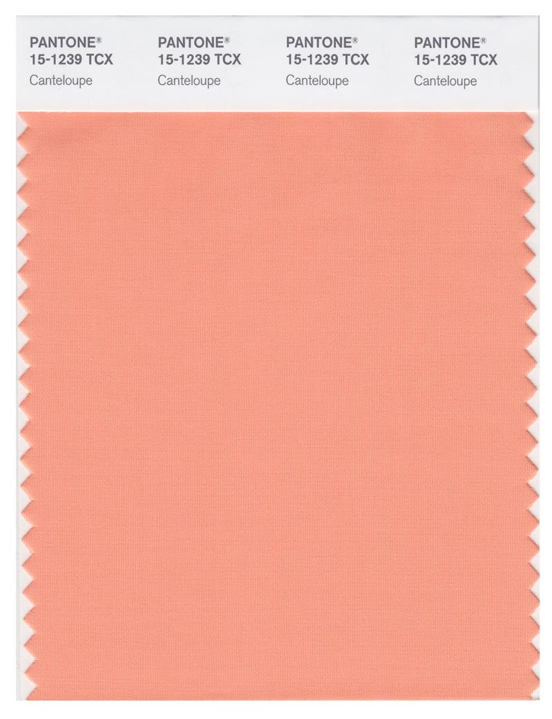 Pantone Smart 15-1239 TCX Color Swatch Card | Canteloupe 