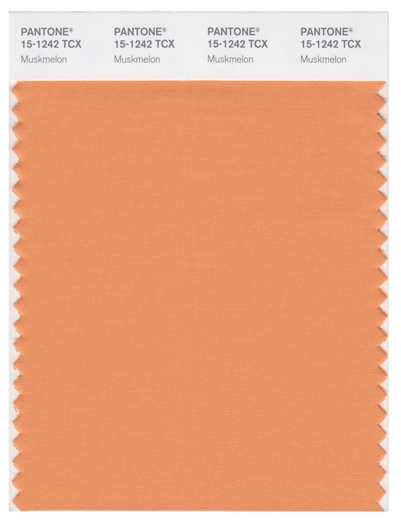 Pantone Smart 15-1242 TCX Color Swatch Card | Muskmelon 