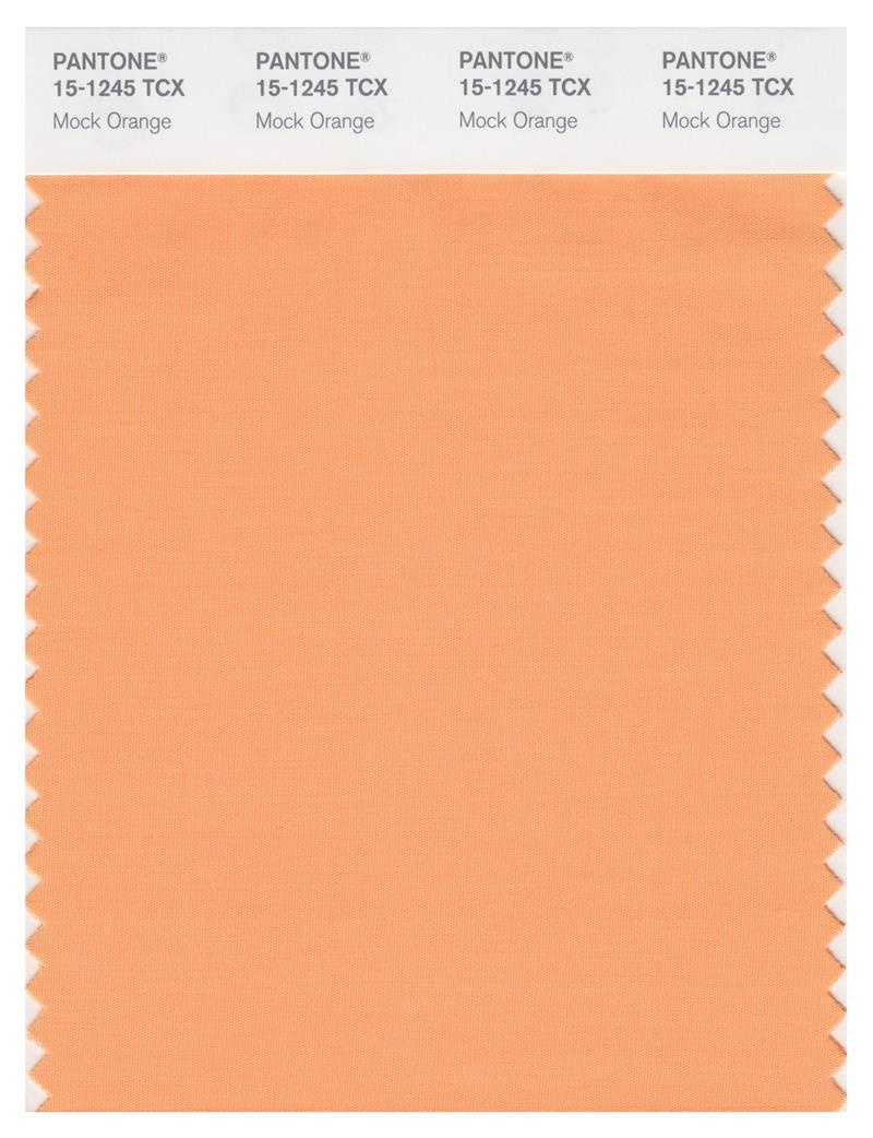 Pantone Smart 15-1245 TCX Color Swatch Card | Mock Orange 