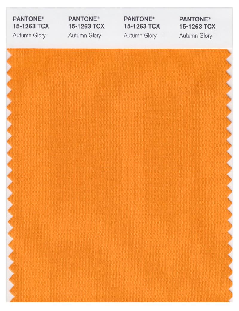 Pantone Smart 15-1263 TCX Color Swatch Card | Autumn Glory 