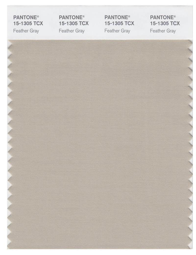 Pantone Smart 15-1305 TCX Color Swatch Card | Feather Gray 