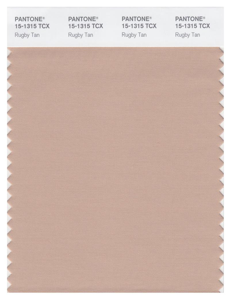 Pantone Smart 15-1315 TCX Color Swatch Card | Rugby Tan 